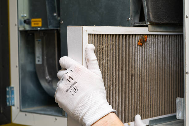 Best Commercial Air Duct Cleaning  in Shenandoah, LA