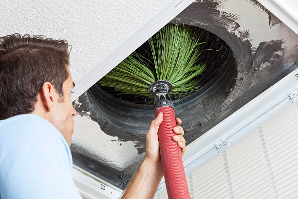 Best Air Duct Cleaning Near Me  in Shenandoah, LA