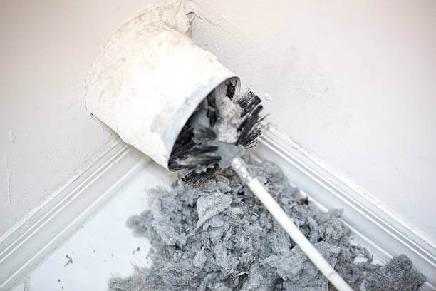 Best Residential Air Duct Cleaning  in Shenandoah, LA